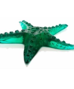 Cam Deniz Yıldızı Kalıpla şekillendirme