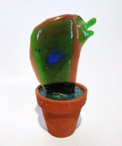 Saksılı Cam Kaktüs