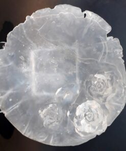 Döküm Çiçekli Dekoratif Cam Tabak