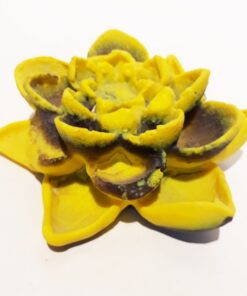 Cam Döküm Nilüfer Çiçeği