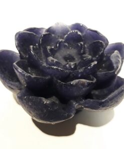 Cam Döküm Nilüfer Çiçeği