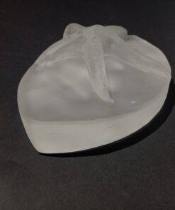 Cam Döküm Deniz Yıldızı