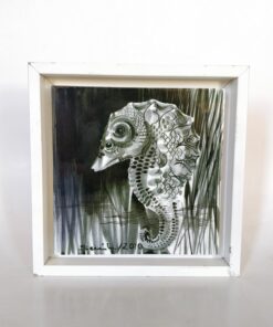 Çerçeveli Denizatı